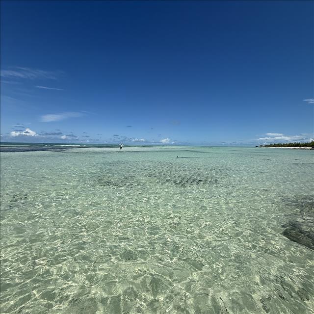 Vacation Rental Photo